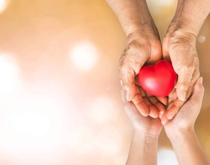 Elderly senior person or grandparent's hands with red heart  in support of nursing family caregiver for national hospice palliative care and family caregivers month concept